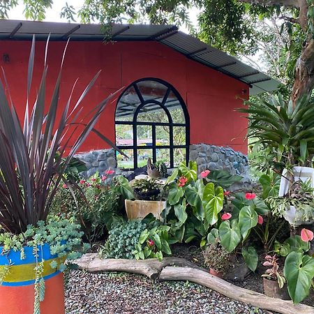 Brisas Del Rio Salento Guest House Exterior photo
